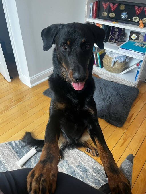 Vishnou dit Hugo de l'etoile de Bossacora